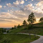 Vineyard Krivic * Trebelno