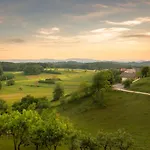 Vineyard Krivic Trebelno