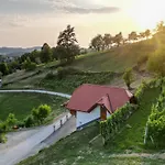 Vineyard Krivic 別荘 Trebelno