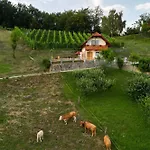Vineyard Krivic 別荘 *