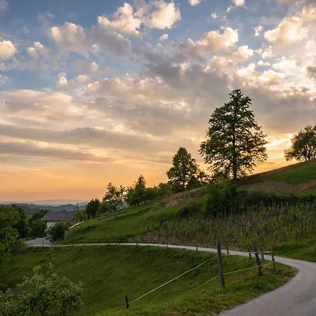 Vineyard Krivic * Trebelno