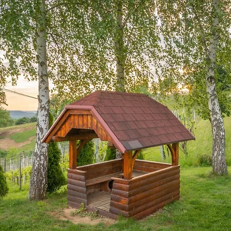 Vineyard Krivic Tatil Evi