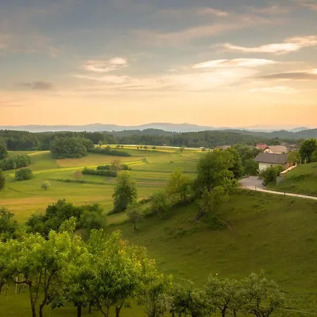 Vineyard Krivic Trebelno