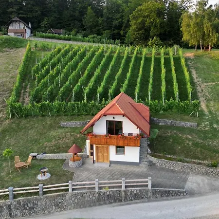 Vineyard Krivic * Trebelno