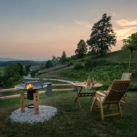 Vineyard Krivic Tatil Evi Trebelno