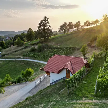 Vineyard Krivic Casa de Férias Trebelno