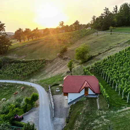 Tatil Evi Vineyard Krivic *