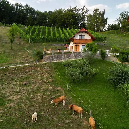 Vineyard Krivic Casa de Férias *