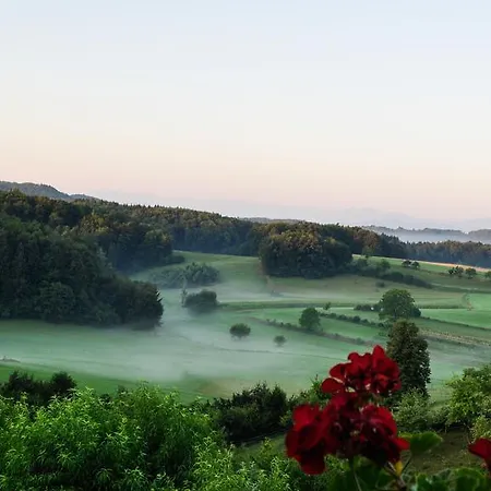 펜션 Vineyard Krivic *