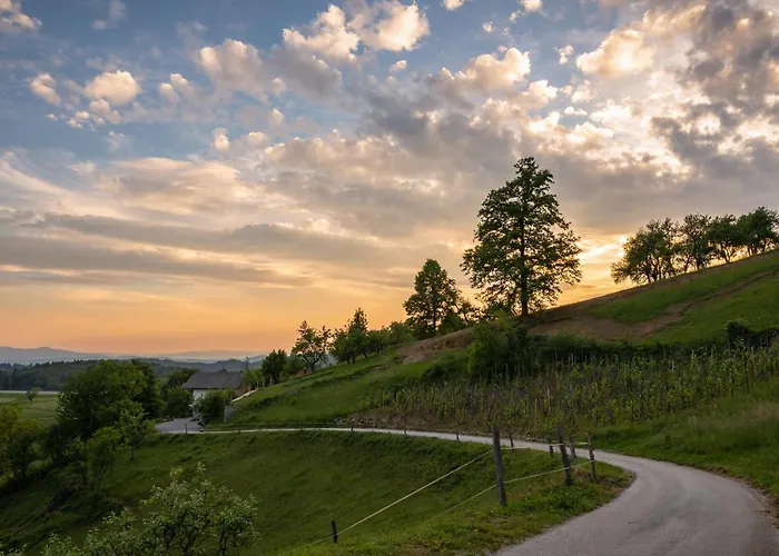 Vineyard Krivic * Trebelno
