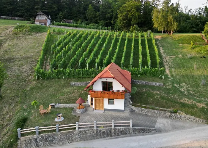 Vineyard Krivic * Trebelno