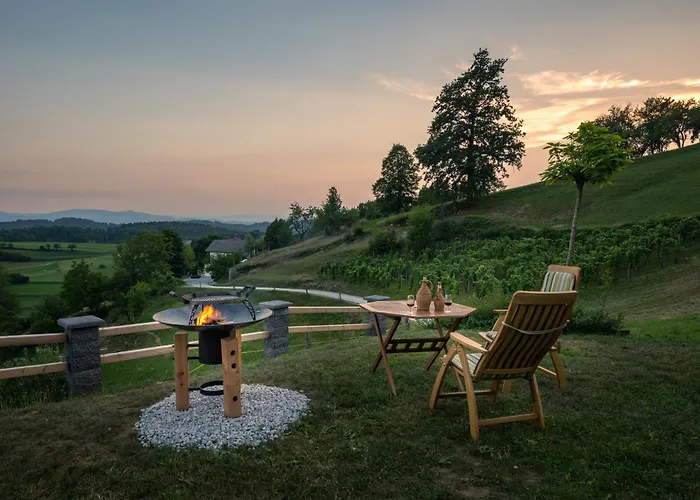 Vineyard Krivic Casa vacanze Trebelno