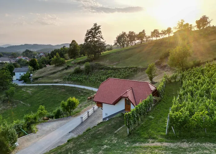 Vineyard Krivic Casa vacanze Trebelno