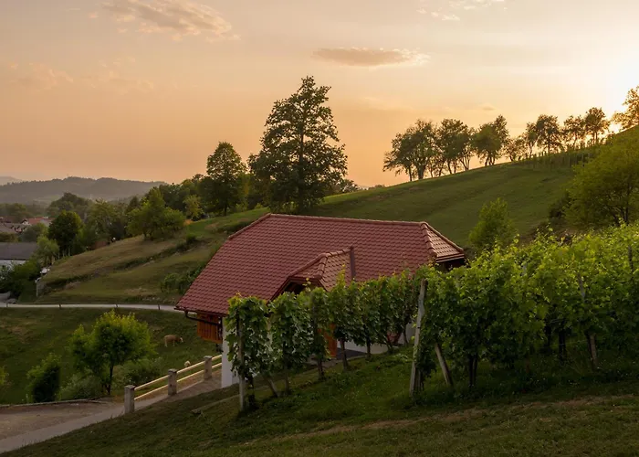 Vineyard Krivic Casa vacanze *