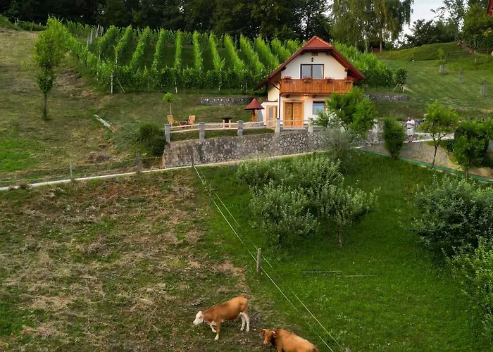 Vineyard Krivic Casa vacanze *