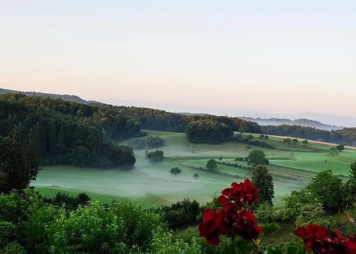 Casa vacanze Vineyard Krivic *